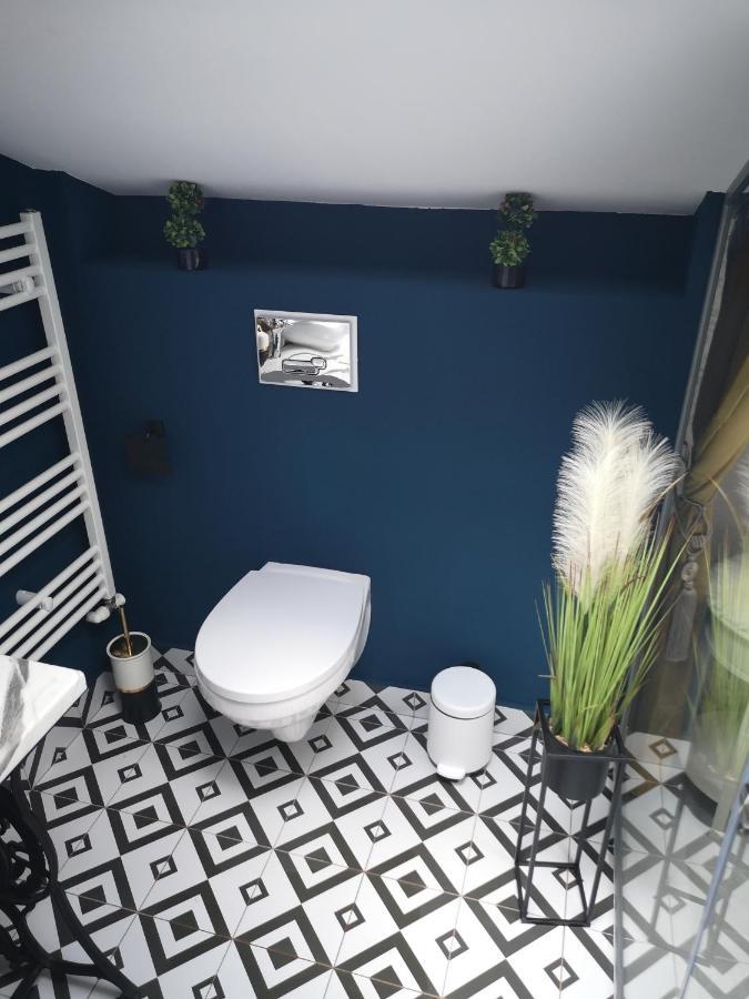 Ivy Boutique Apartment Brasov Bagian luar foto